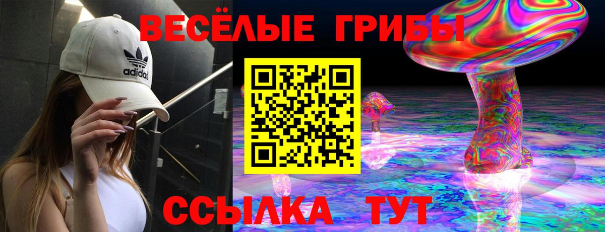 Псилоцибиновые грибы Magic Shrooms Кимовск